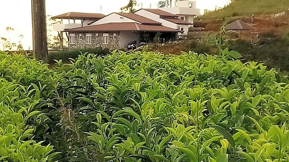 Hotel Tranquil Ridge Hilltop