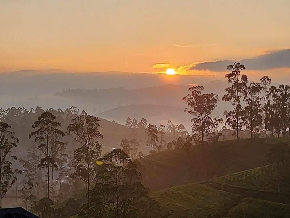 Tranquil Ridge Hilltop