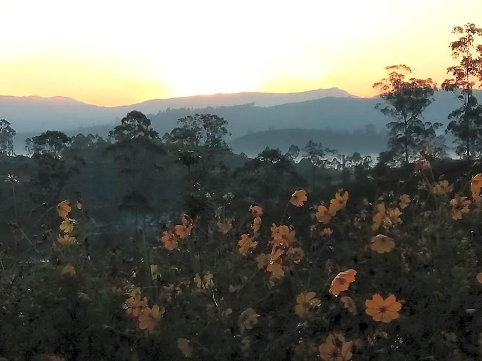Tranquil Ridge Hilltop 3* Nuwara Eliya