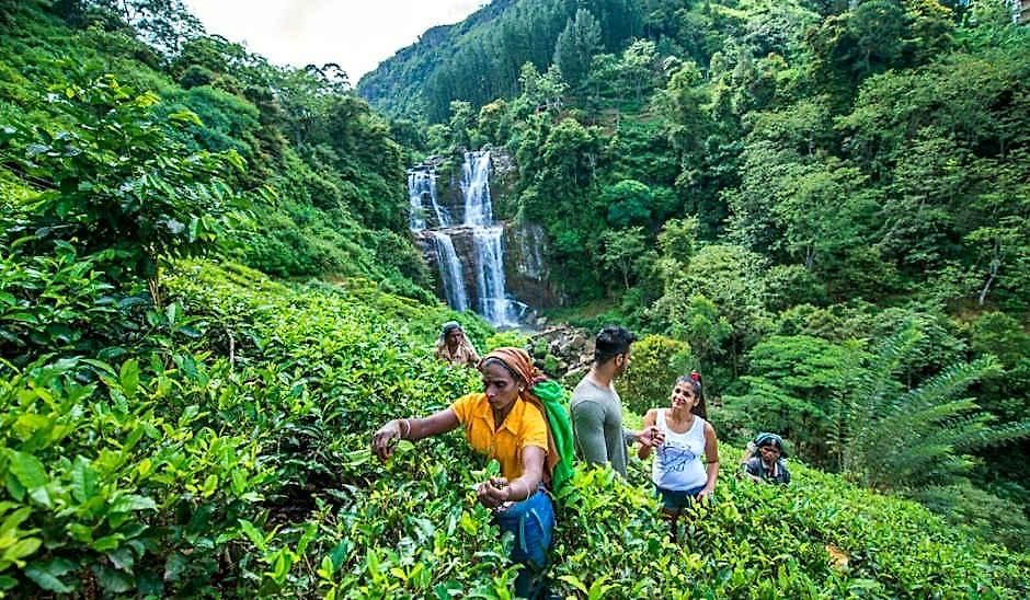 Hotel Ramboda Falls 4*