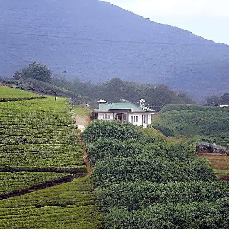 The Royal Terrace Bed & Breakfast