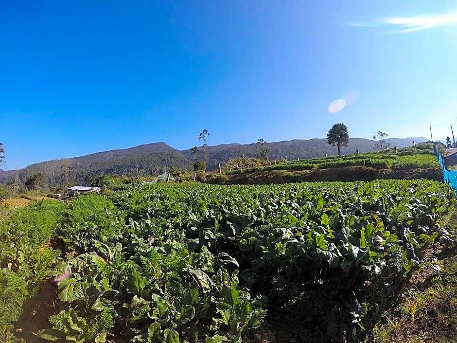 Shannon Rise Hotel Nuwara Eliya