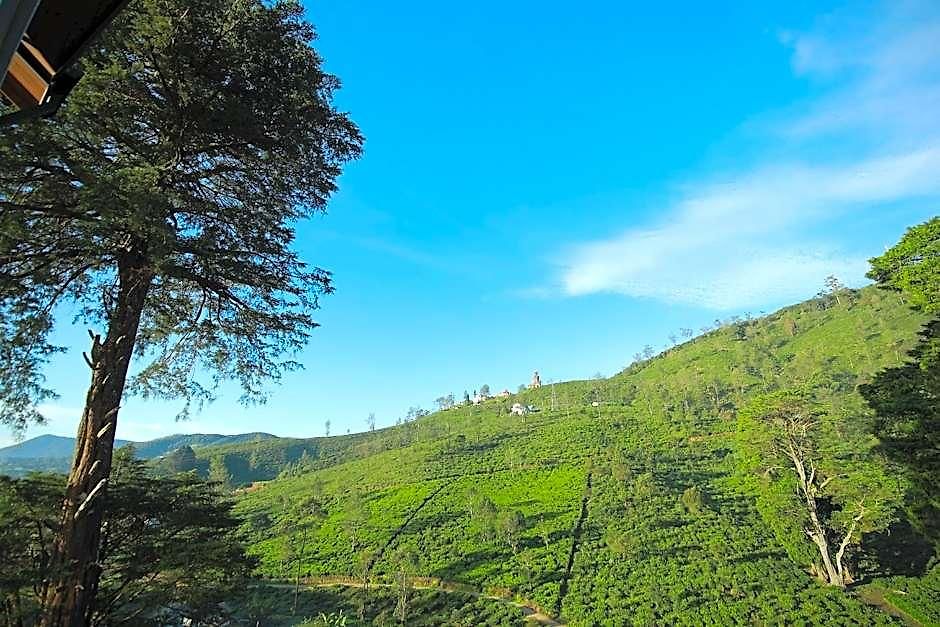 Single Tree Mount 4* Nuwara Eliya