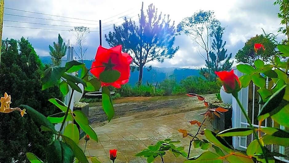 Lassana Nuwara Eliya