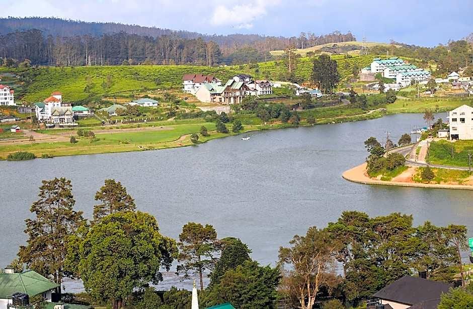 Acacia Nuwara Eliya