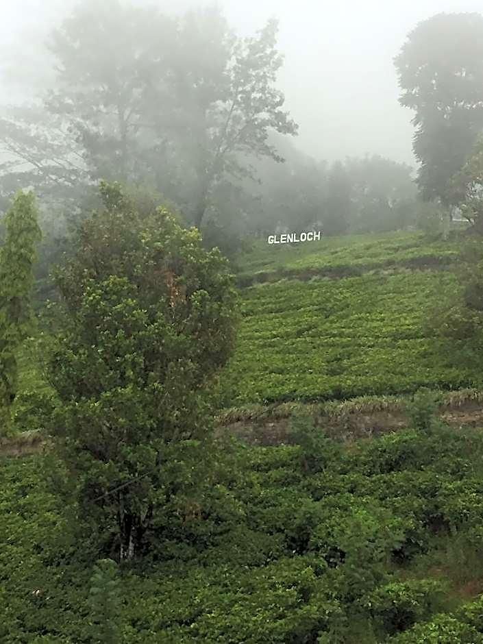 Hotel Glenloch Tea Factory Nuwara Eliya