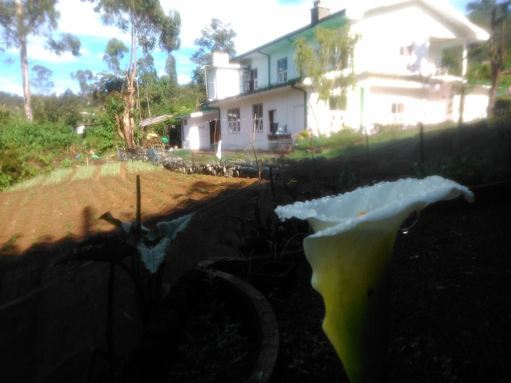 Champ Guest house Nuwara Eliya