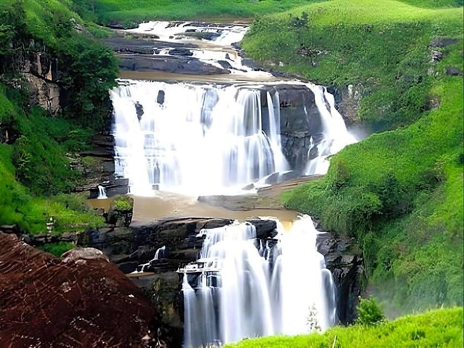 Alpine Nuwara Eliya