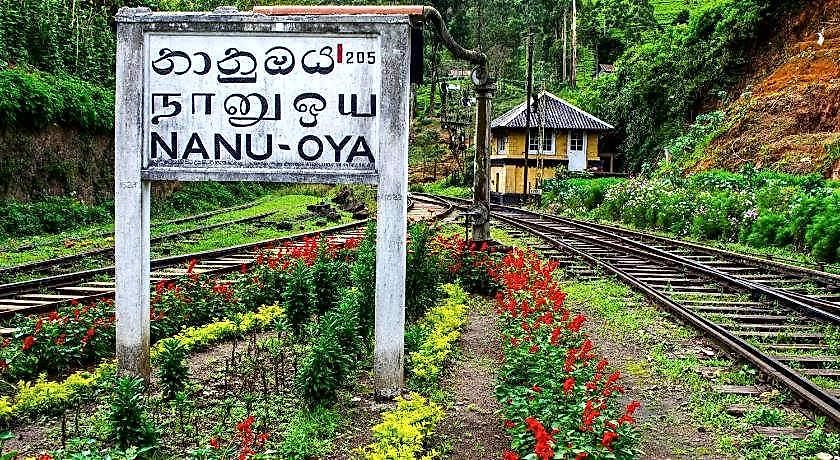 Bed & Breakfast The Train View Nuwara Eliya