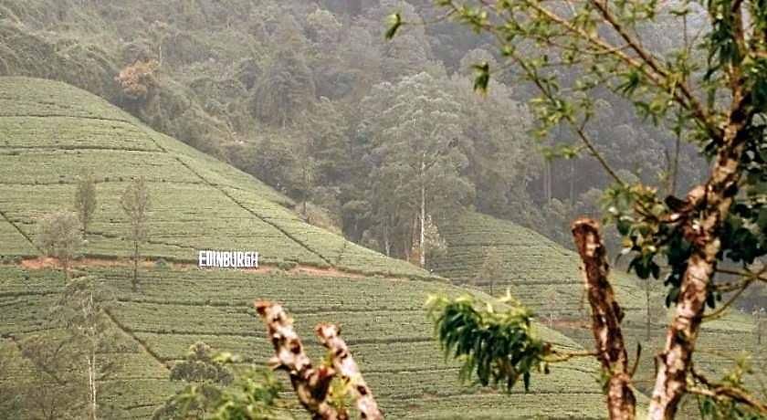 The Train View Bed & Breakfast Nuwara Eliya