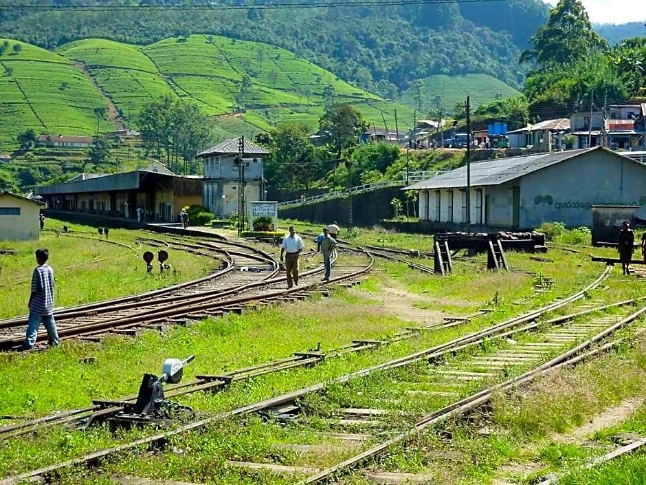 The Train View 3* Nuwara Eliya