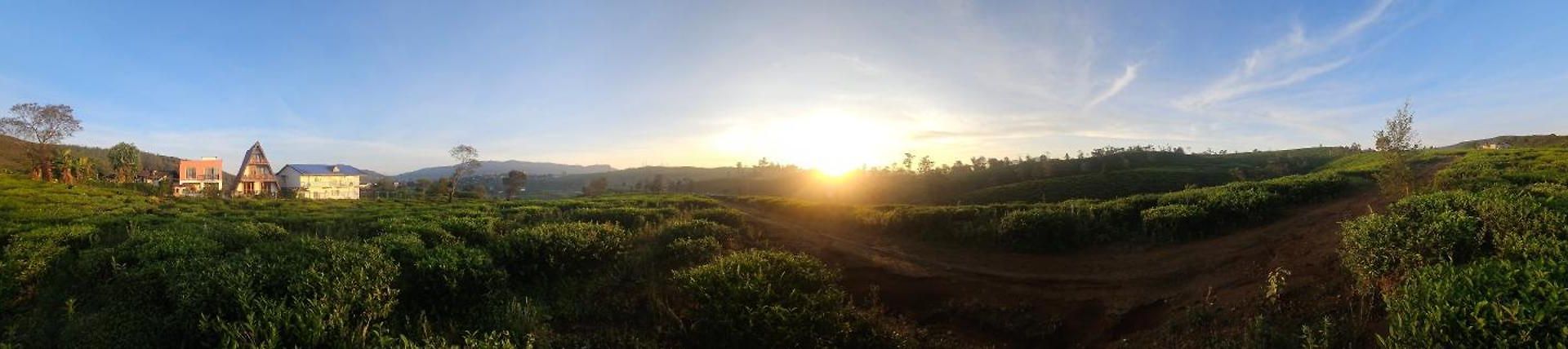 Valley