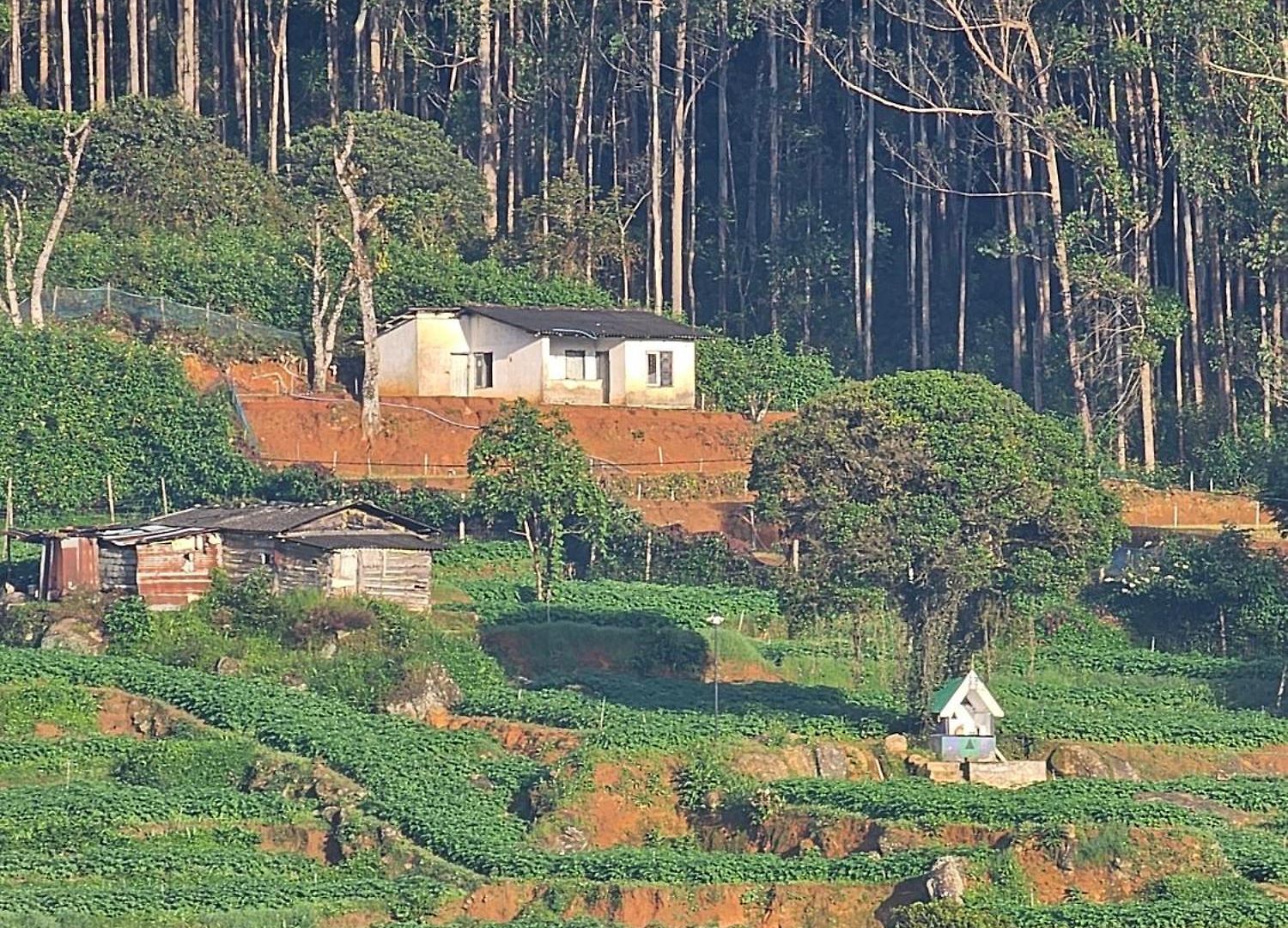 Valley * Nuwara Eliya