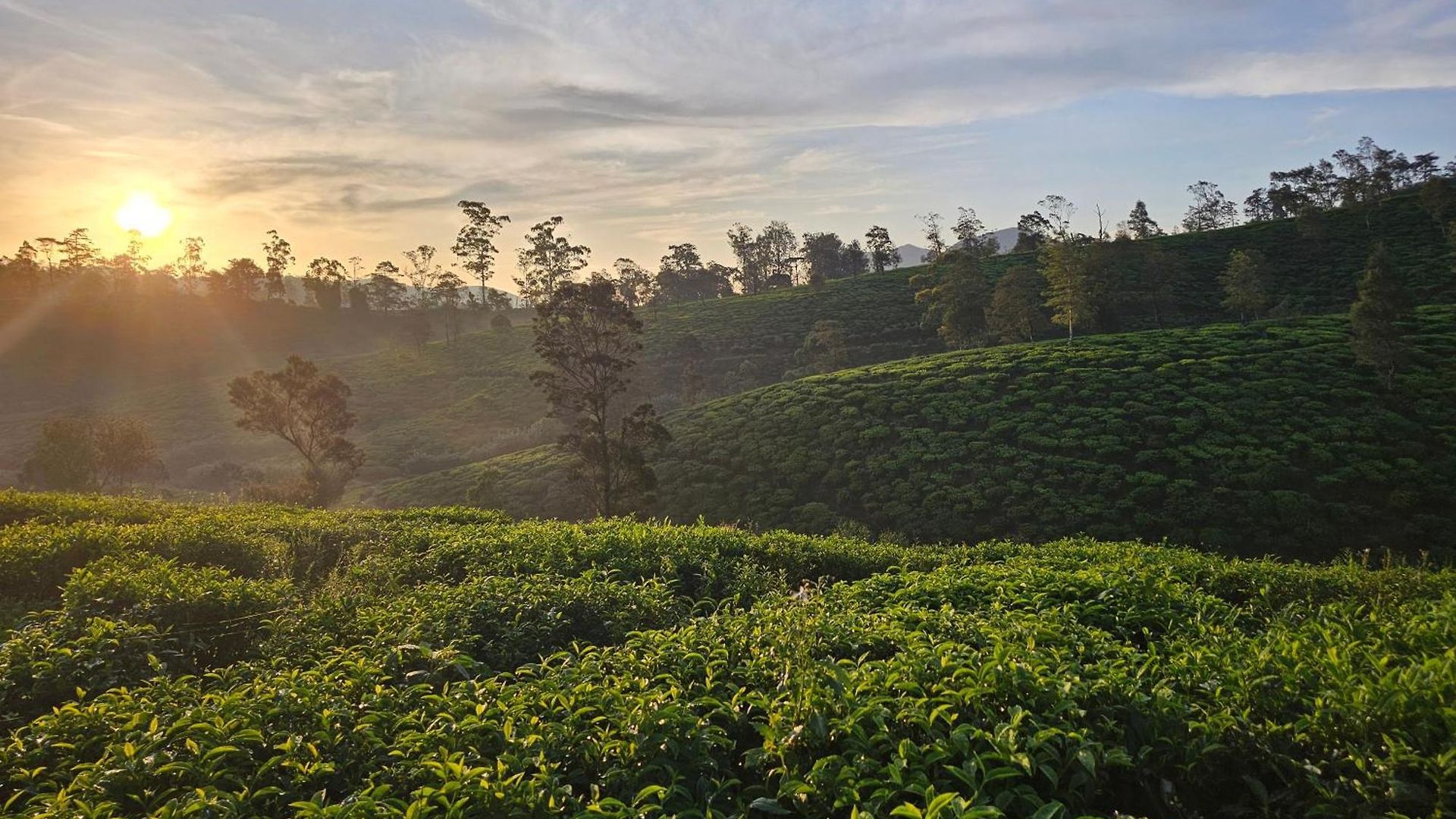 Valley Campsite Nuwara Eliya