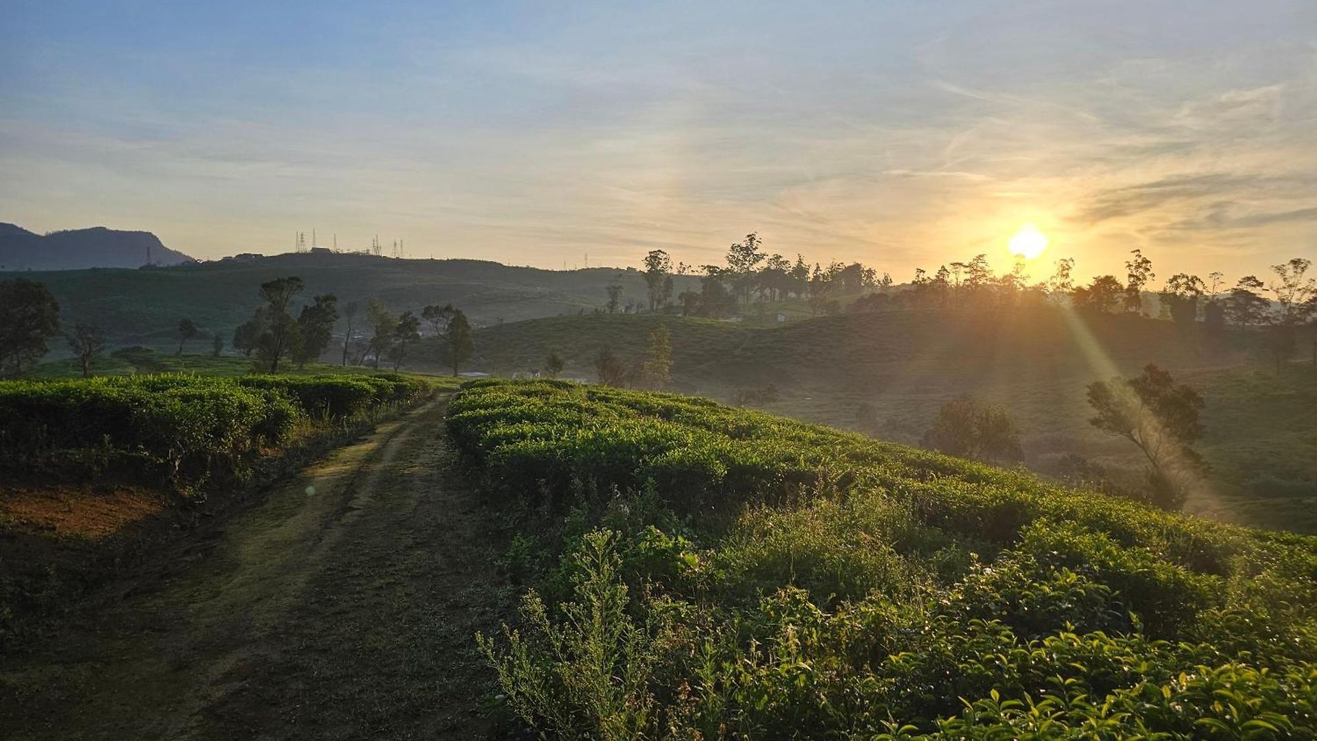 Valley * Nuwara Eliya