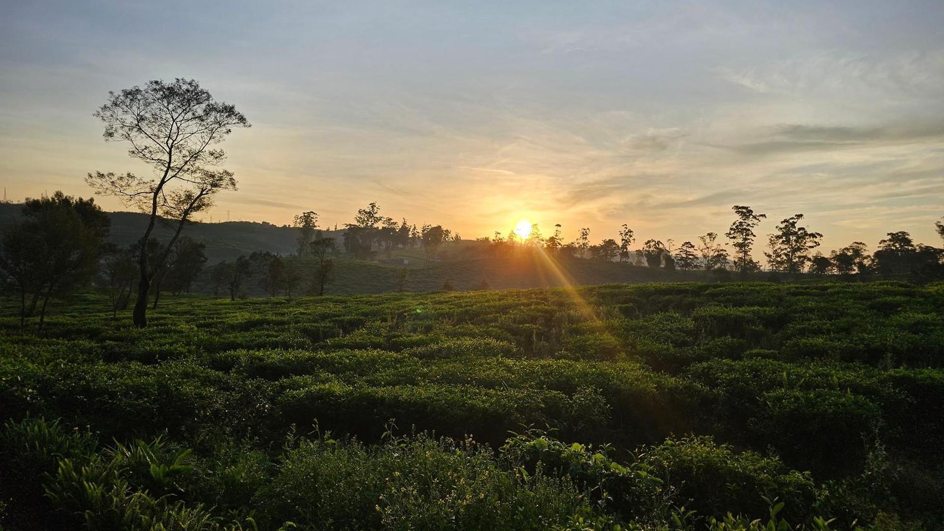 Valley Campsite Nuwara Eliya