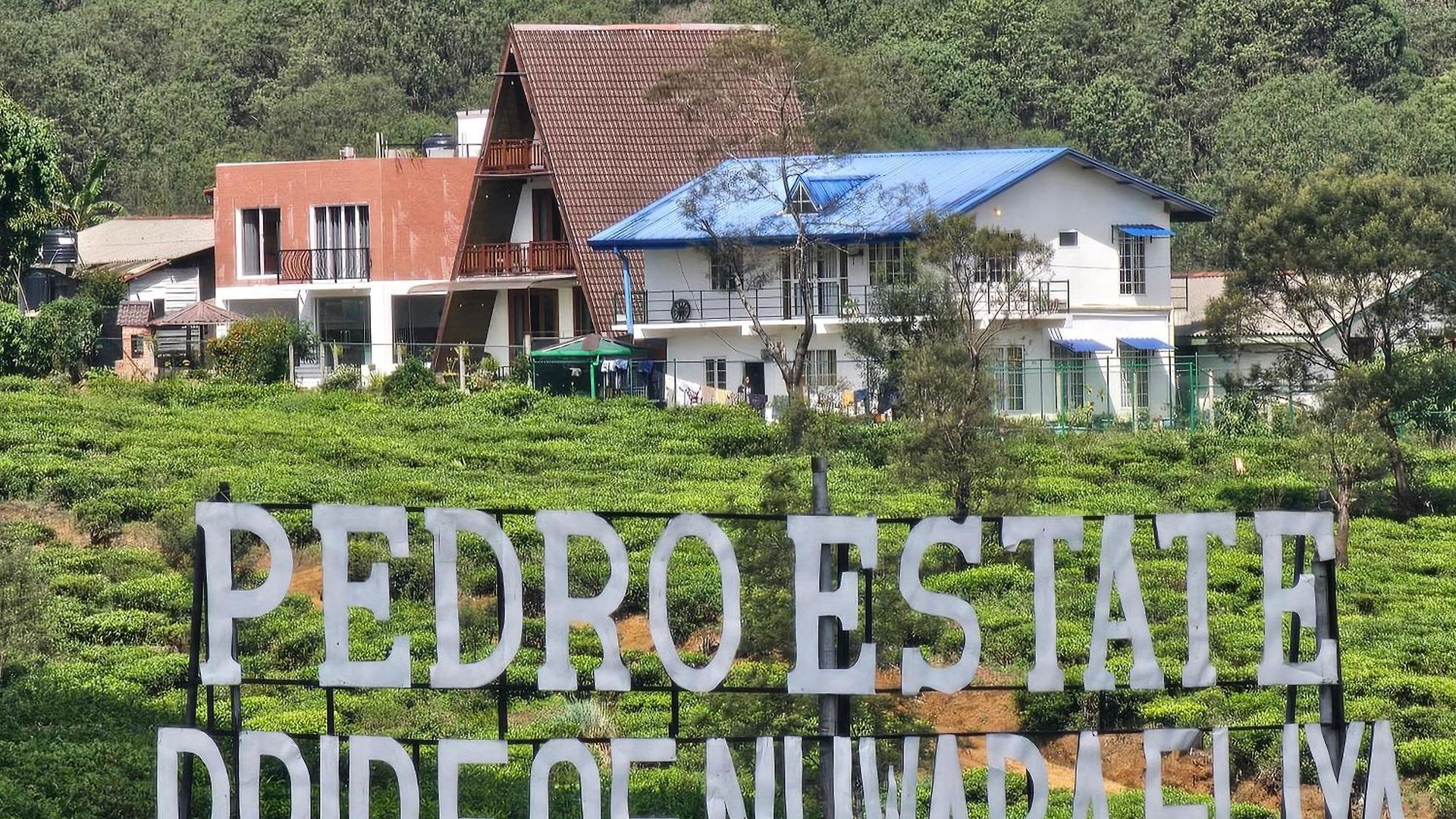 Valley Nuwara Eliya