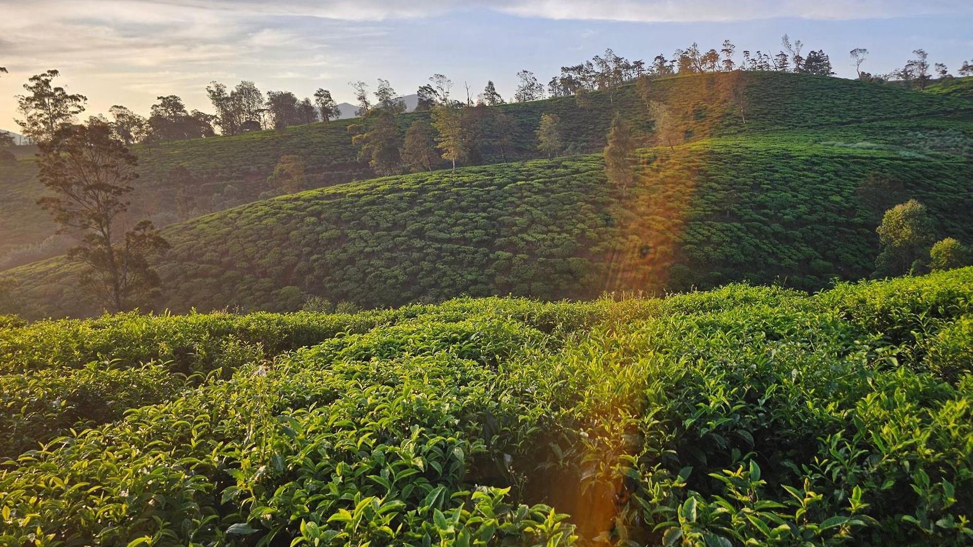 Campsite Valley Nuwara Eliya