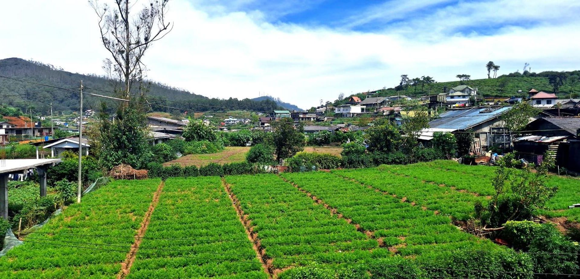 Hotel Royal Horizon Nuwara Eliya