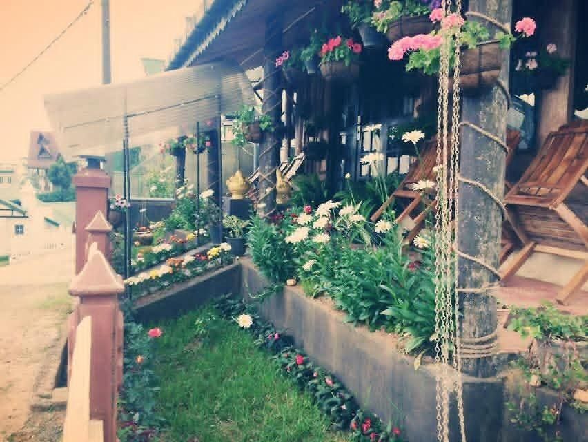 Celonya Wooden Hotel 3*