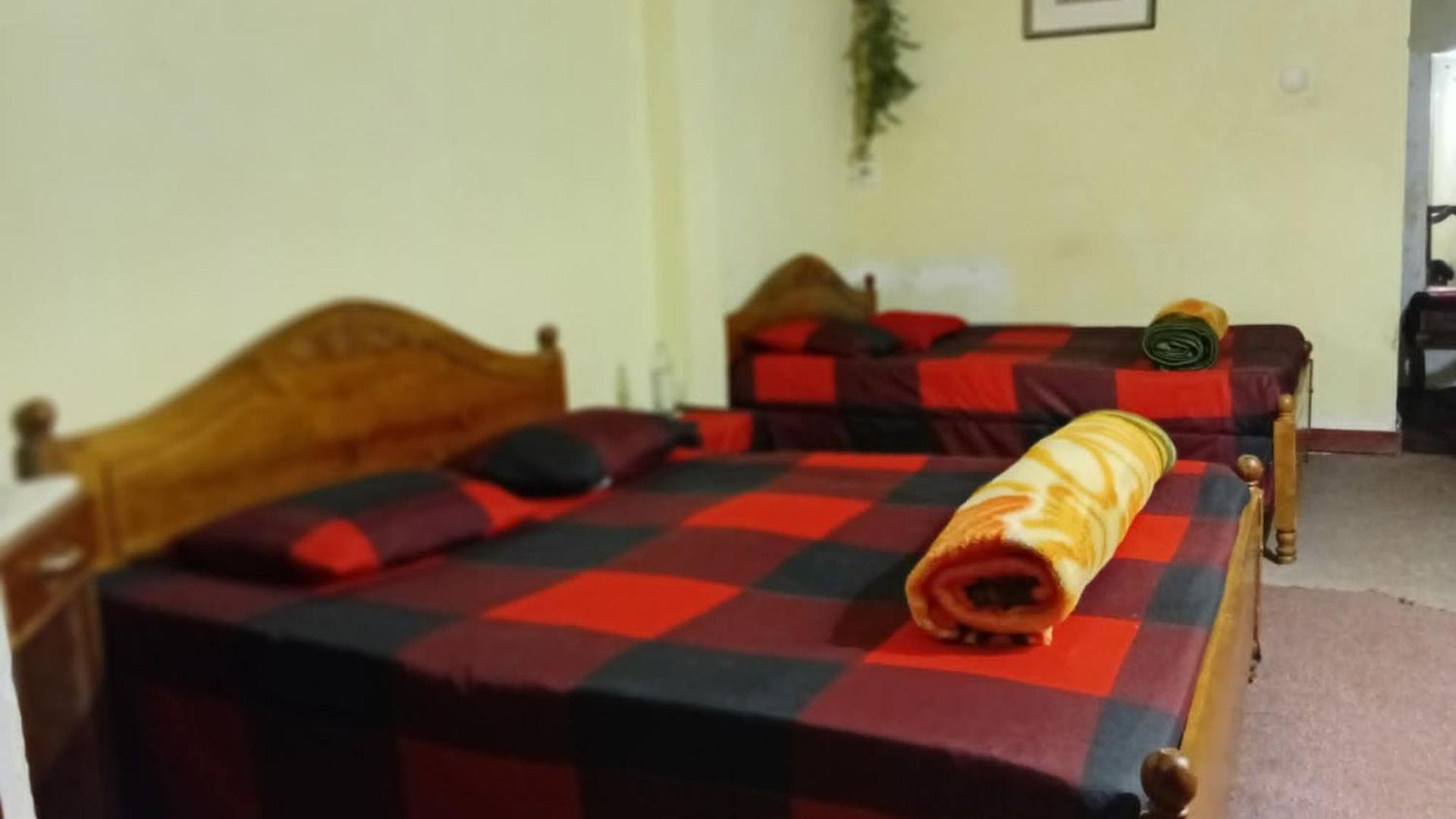 Celonya Wooden 3*