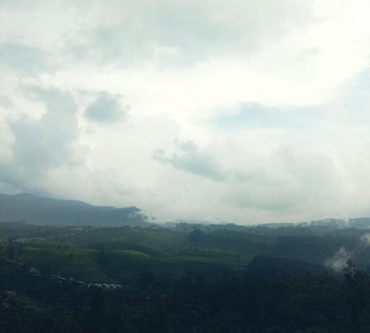 Falcon View Hotel 3*