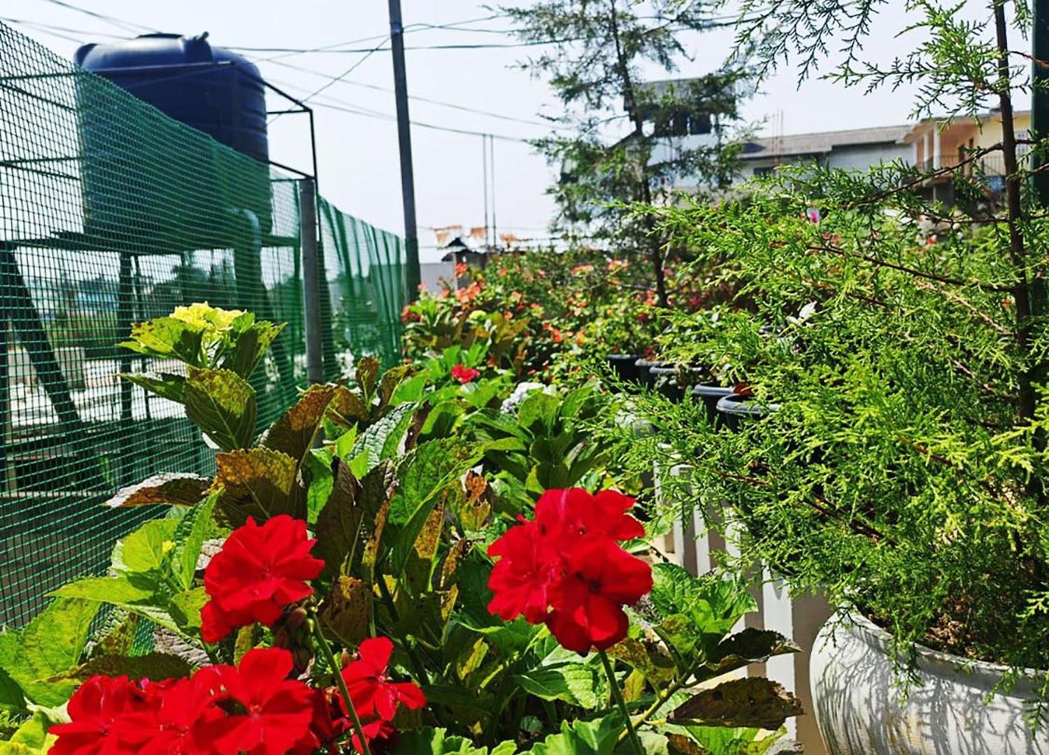 Guest house Gregory Nuwaraeliya