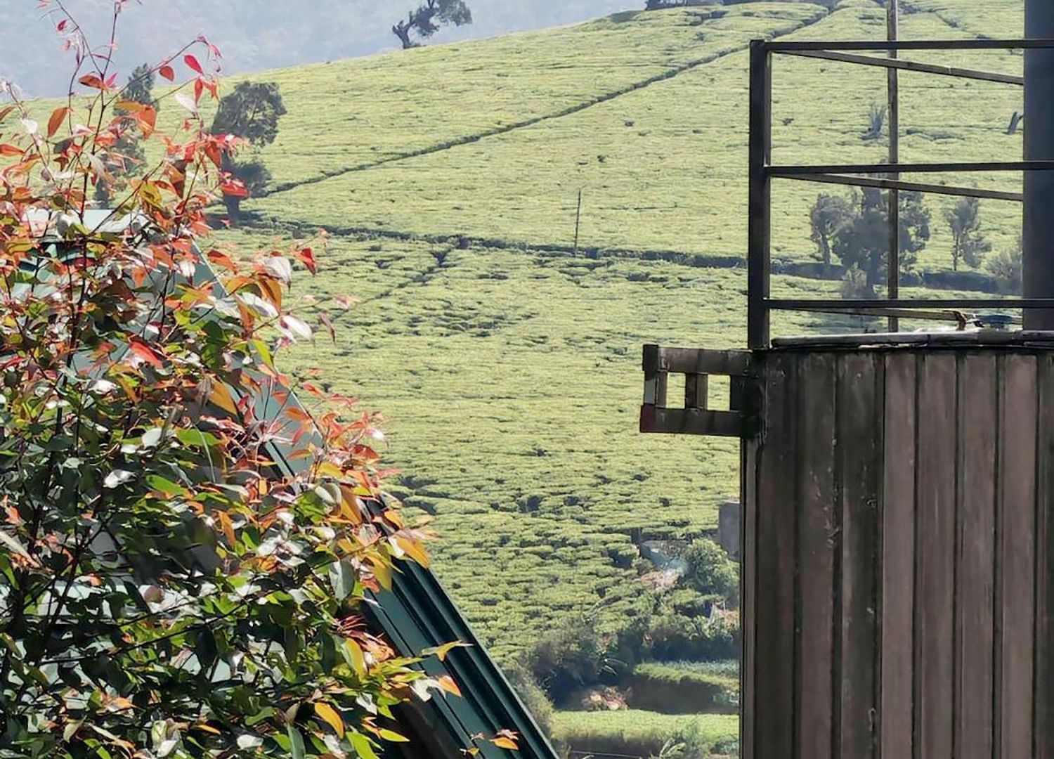 Gregory Nuwaraeliya Nuwara Eliya