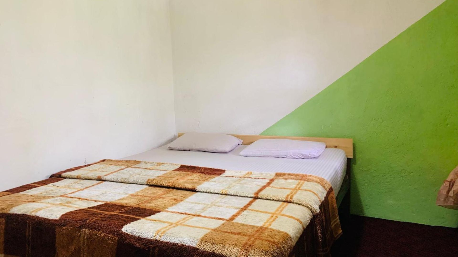 Homestay Camellia *