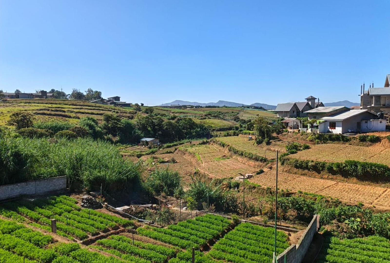Bed & Breakfast Ssr Wasana Nuwara Eliya