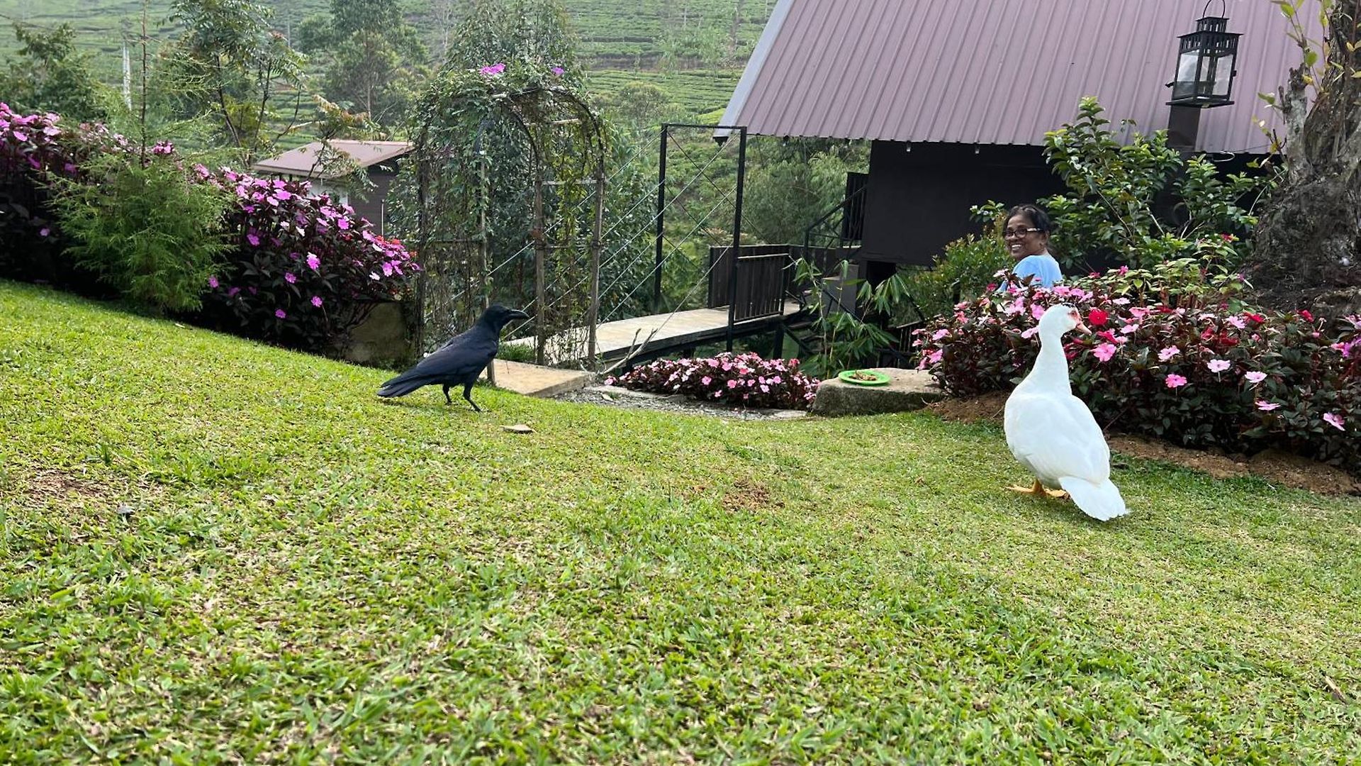 Doctor G House * Nuwara Eliya