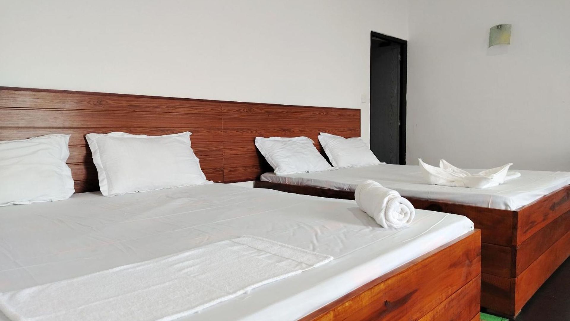 Shiny Cot - Nuwaraeliya *