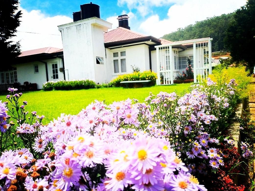 Hill Cliff Banglow Guest house Nuwara Eliya