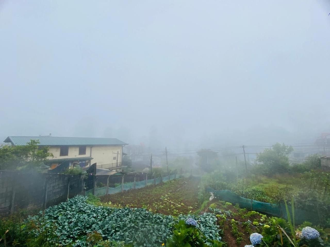 Pink Heaven Nuwara Eliya