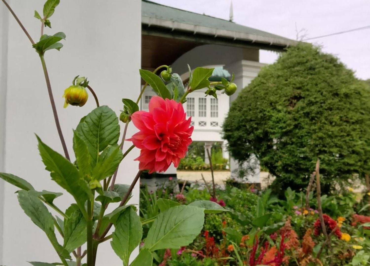 Elysian Hills Heritage In 4* Nuwara Eliya