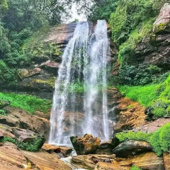 Misty Retreat Mandaramnuwara *