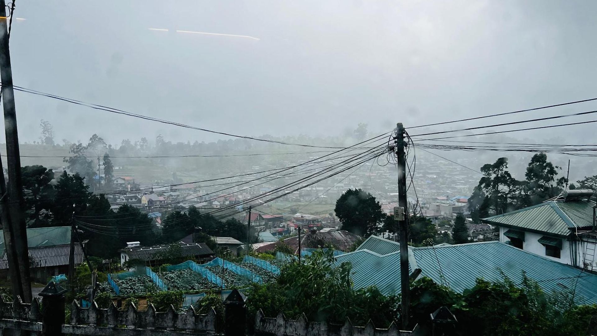 Singho's Nuwara Eliya