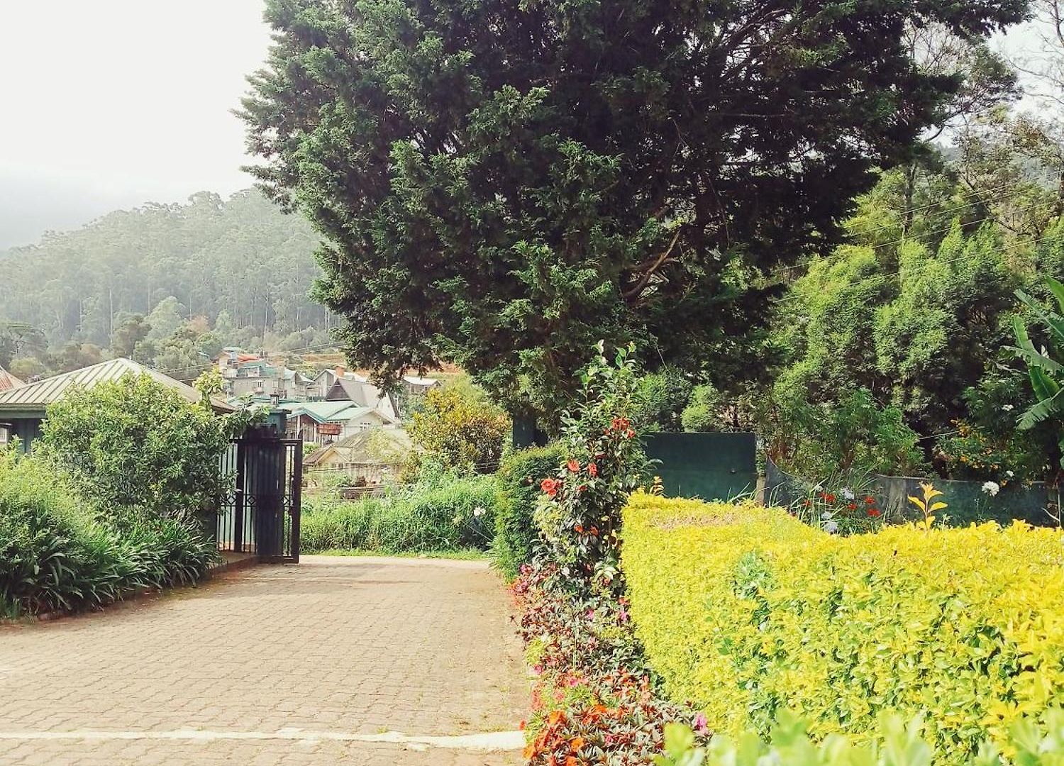 Guest house Hill Cliff Banglow *