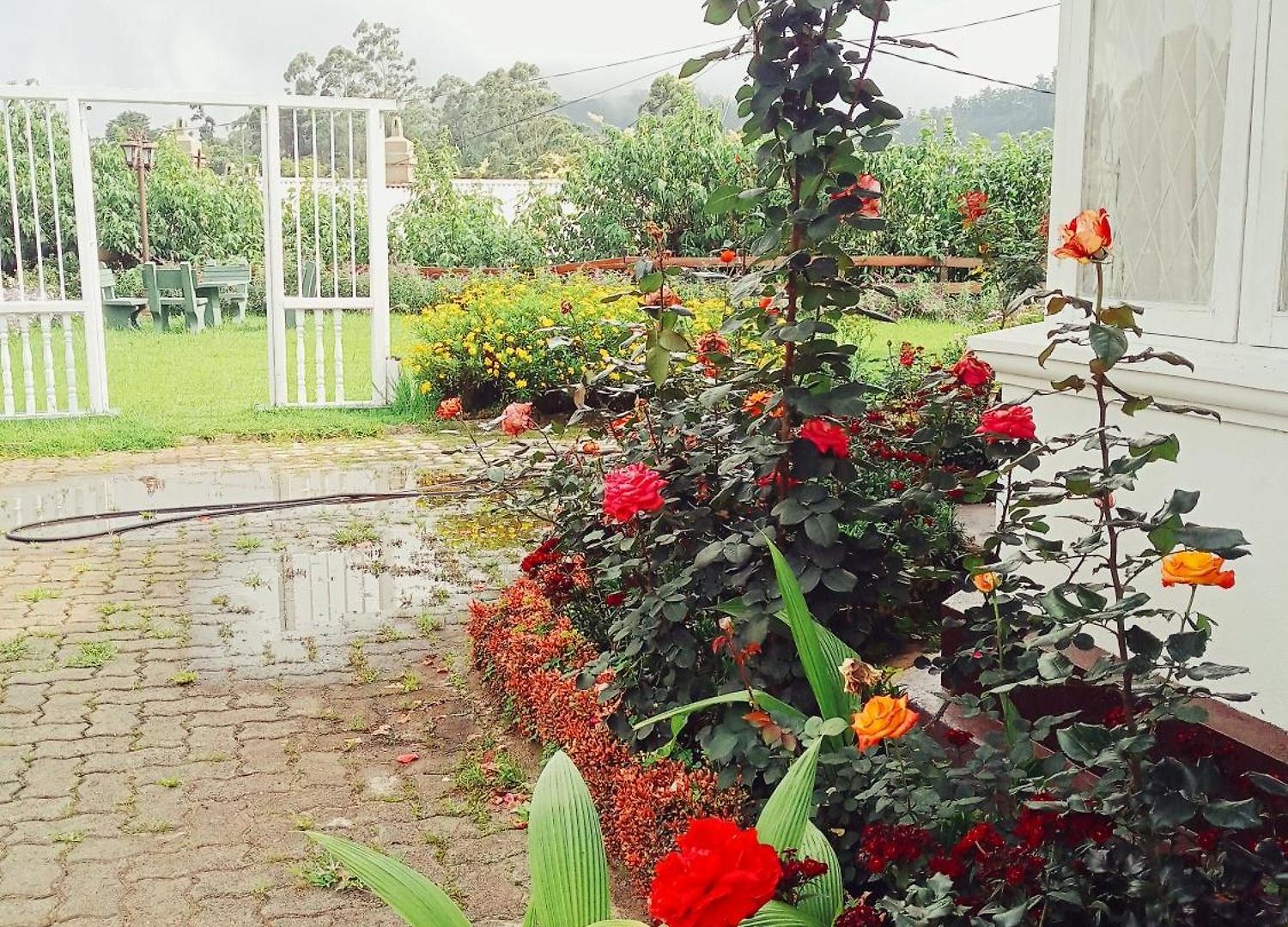 Hill Cliff Banglow * Nuwara Eliya