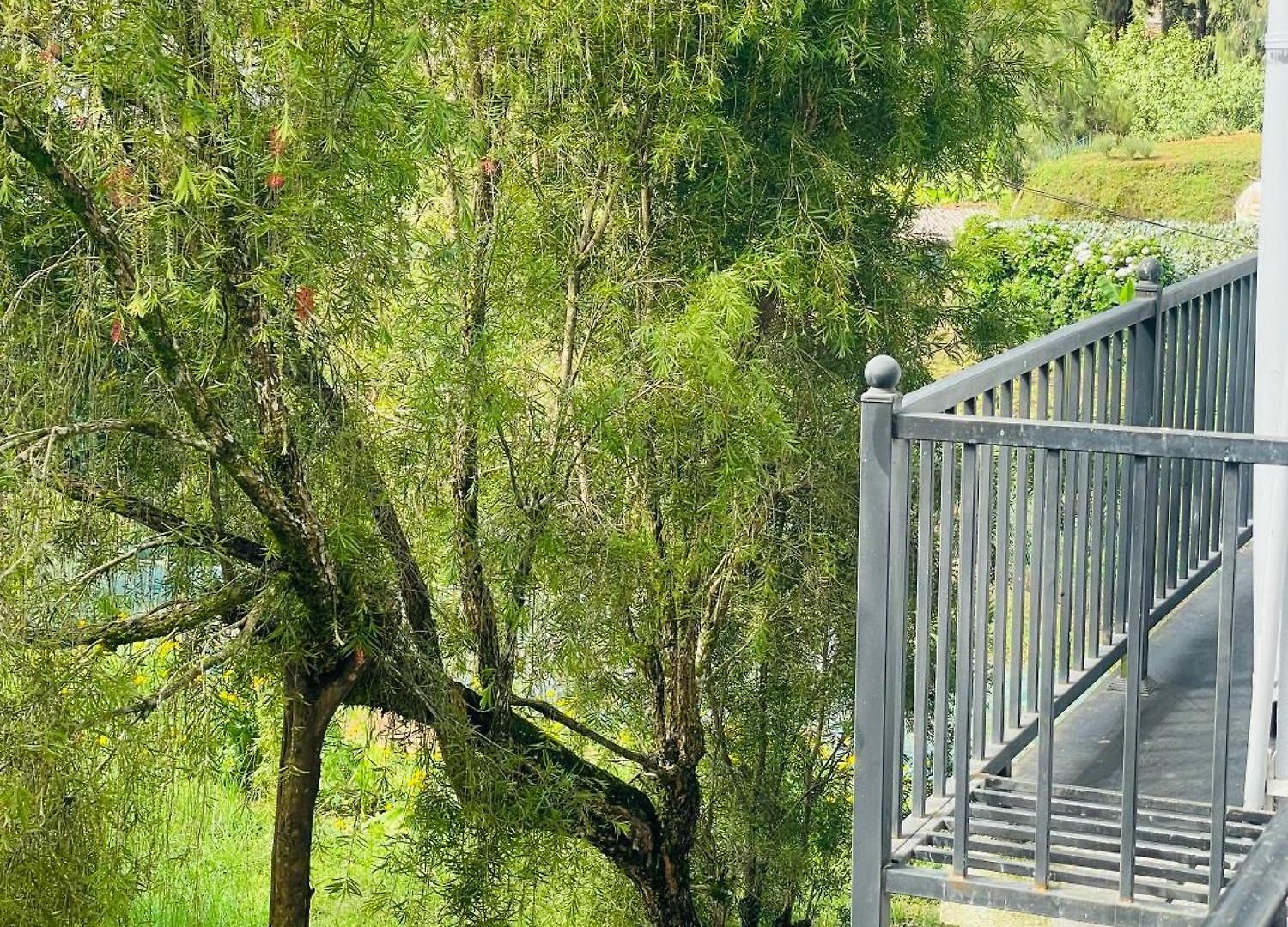 Sky Cloud Guest house Nuwara Eliya