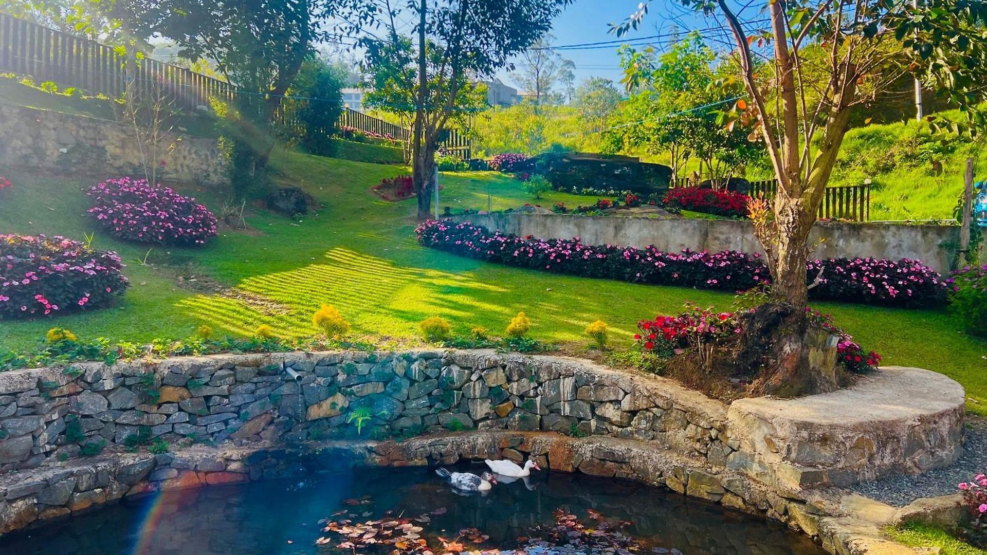 Villa Doctor G House *