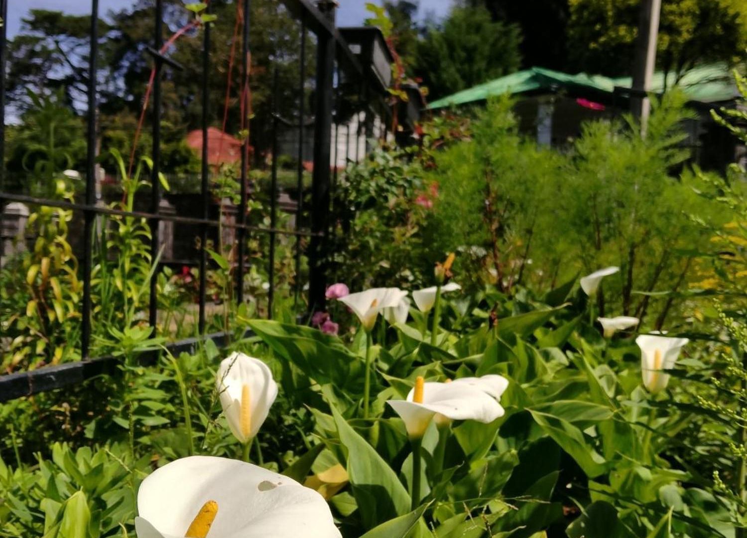 Guest house Elysian Hills Heritage In Nuwara Eliya