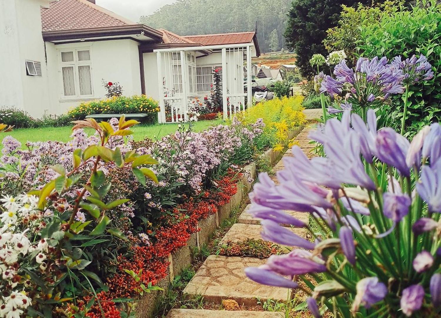 Hill Cliff Banglow Guest house