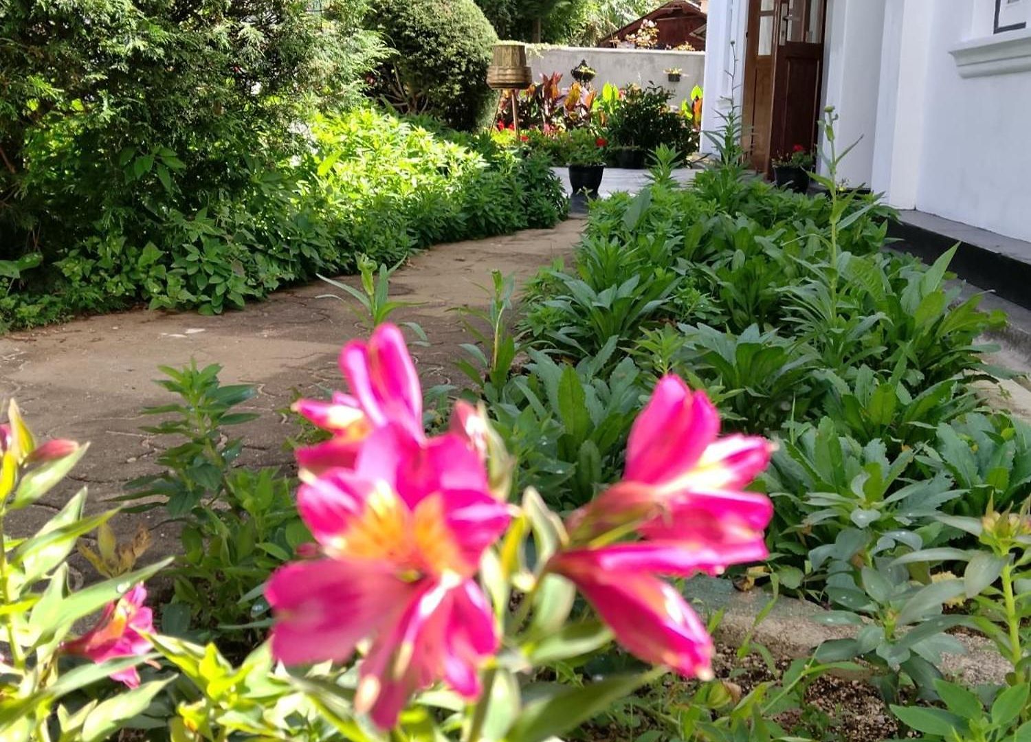 Guest house Elysian Hills Heritage In Nuwara Eliya