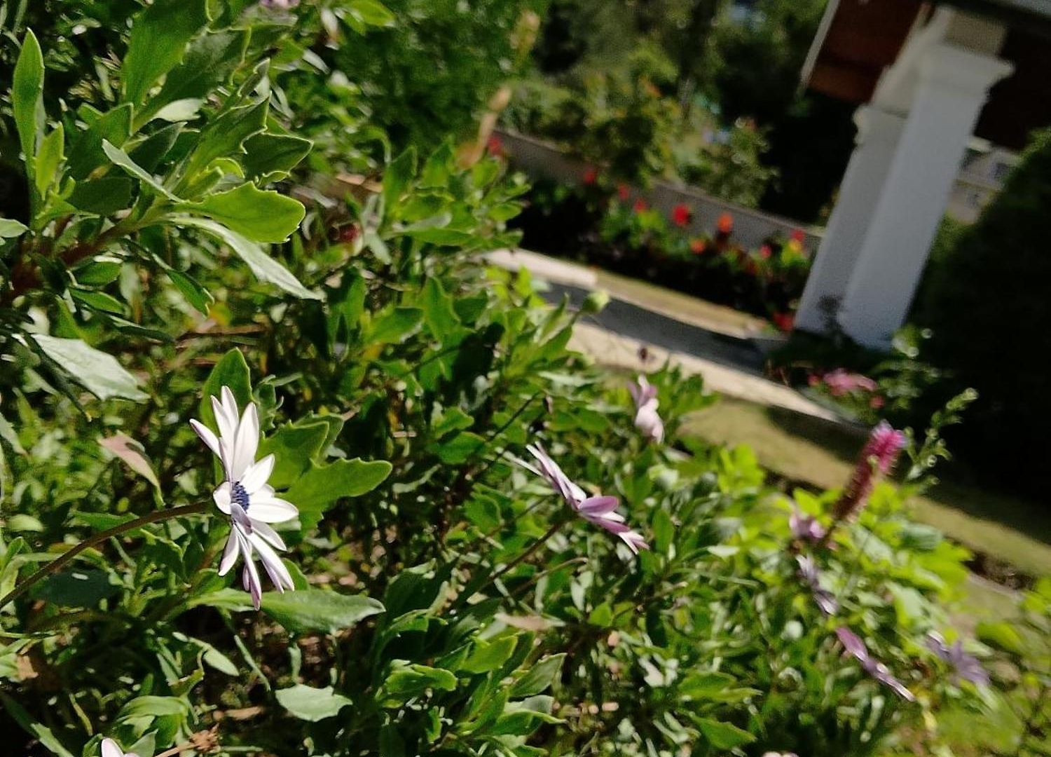 Elysian Hills Heritage In Guest house