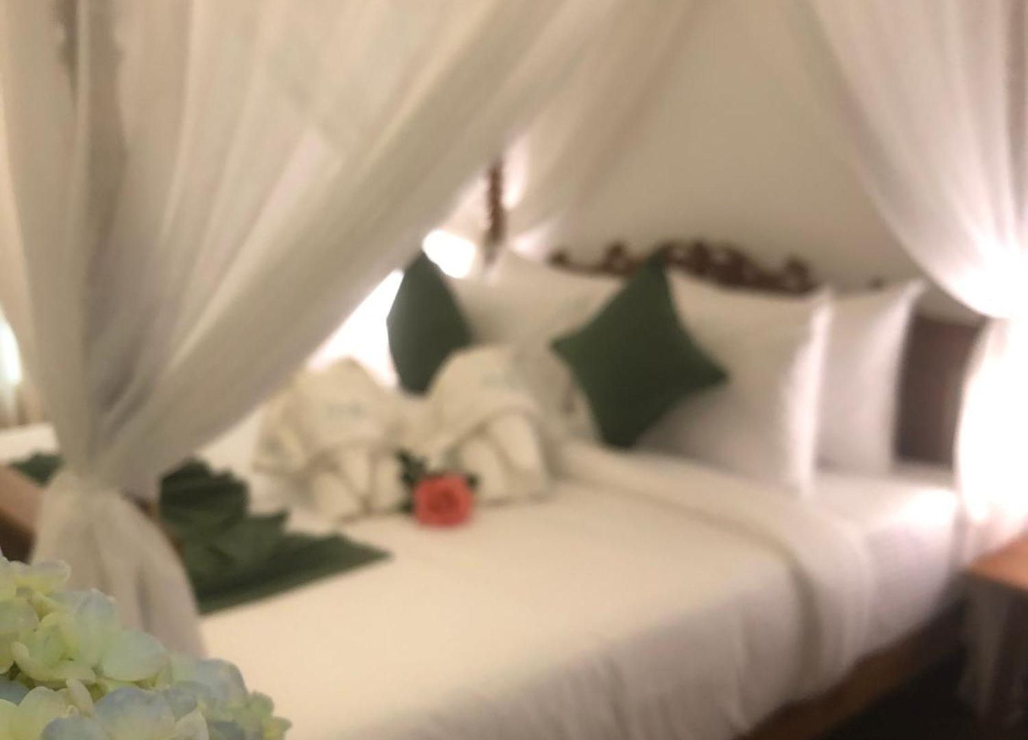 Guest house Elysian Hills Heritage In