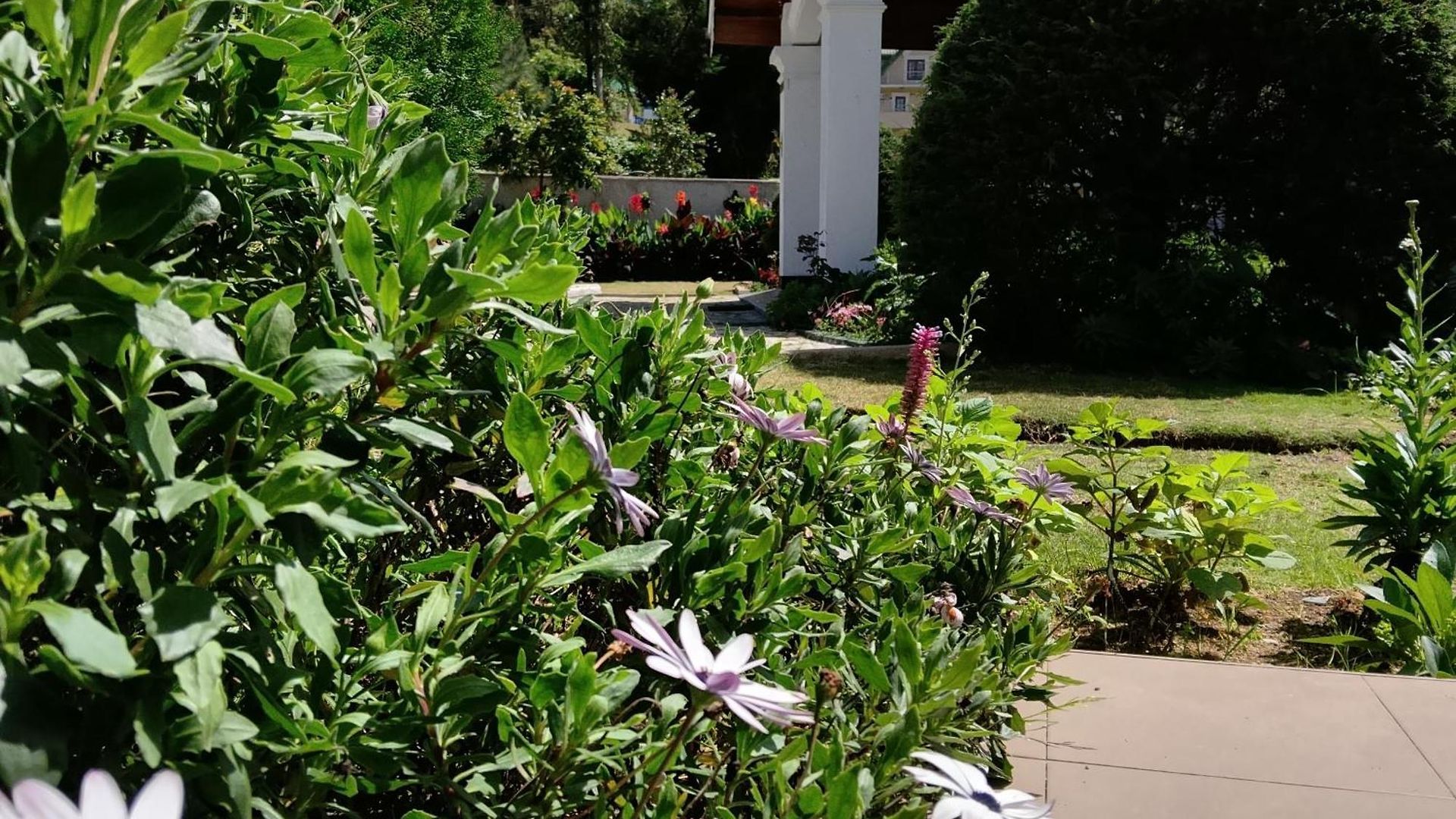 Elysian Hills Heritage In Nuwara Eliya