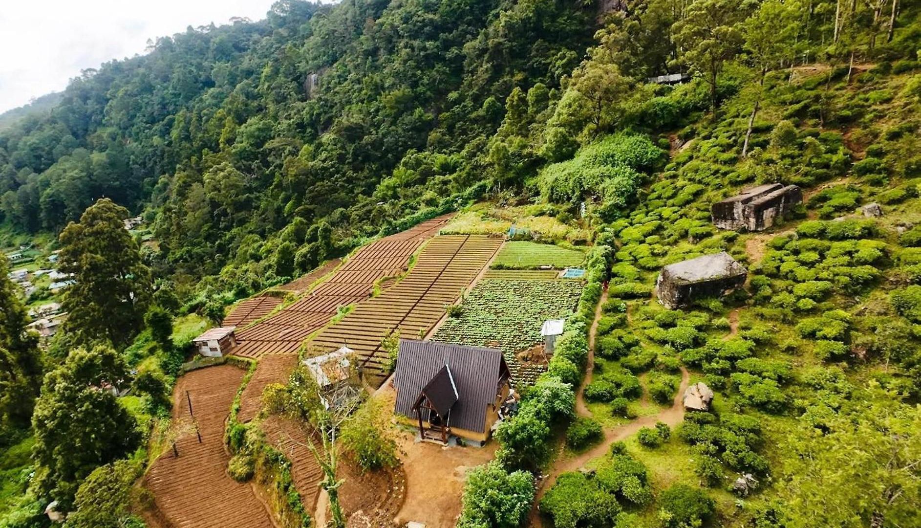 Villa The Tranquil Of Loversleap Nuwara Eliya