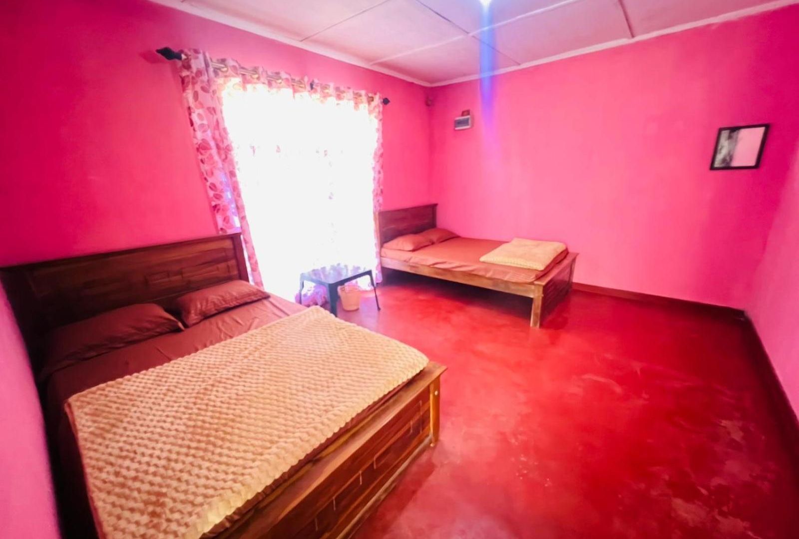 Apartment Omi