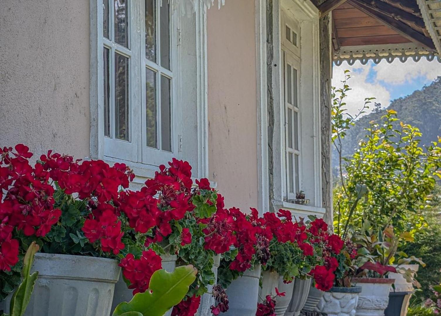 Royal Wattles Boutique Nuwara Eliya